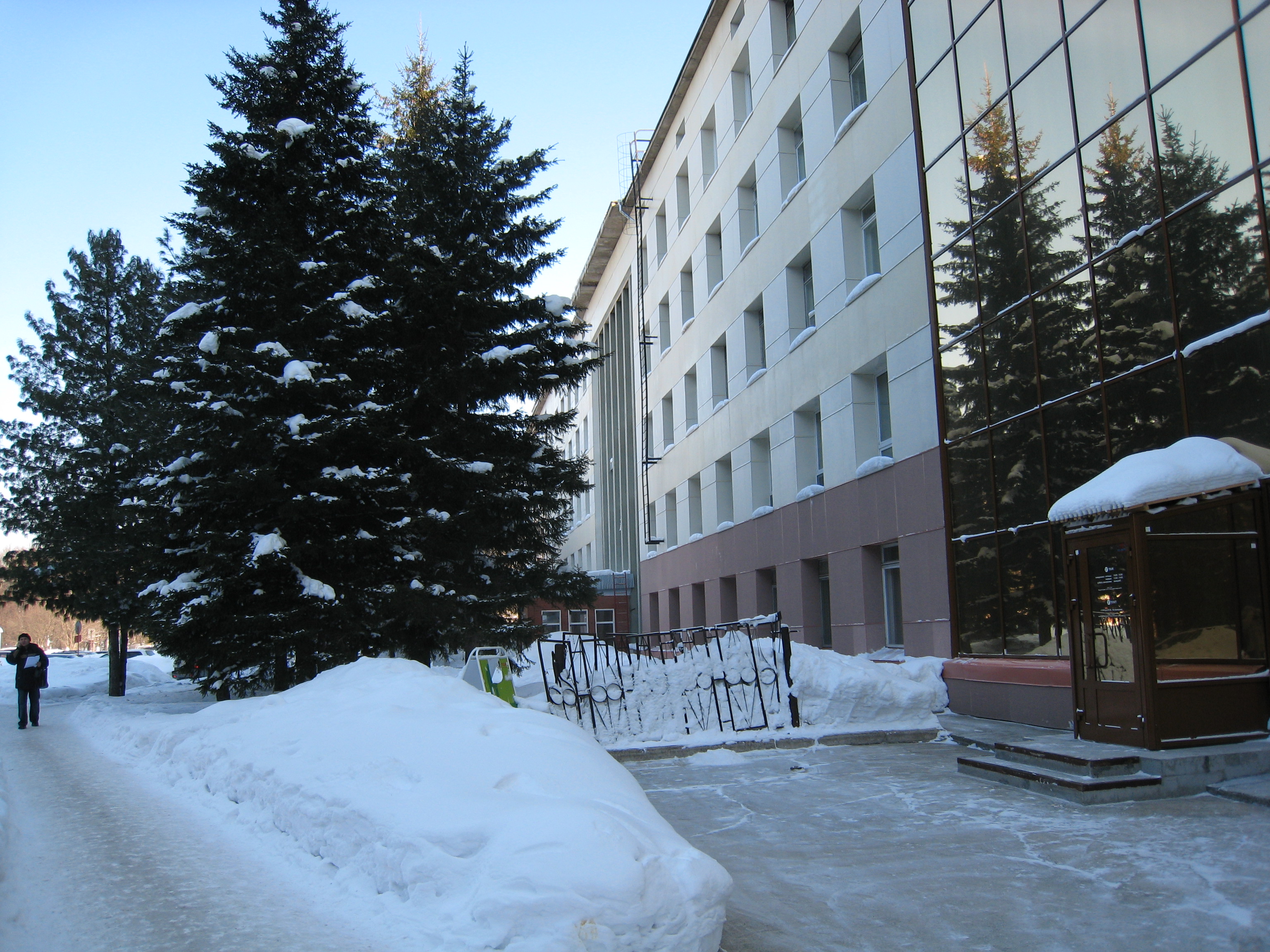 A.P. Ershov Institute of Informatics Systems