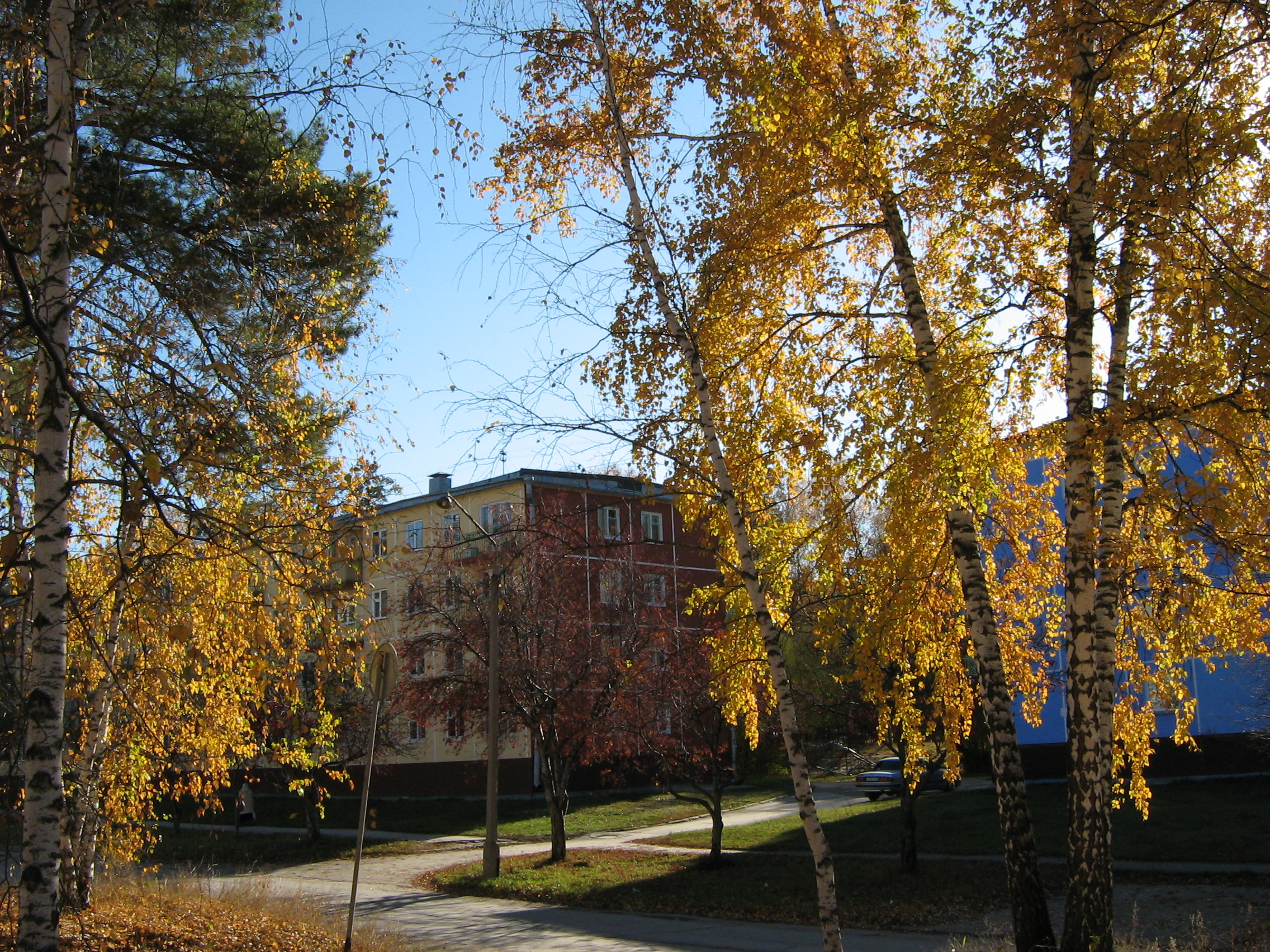 Autumn in Akademgorodok. Tsvetnoj proezd