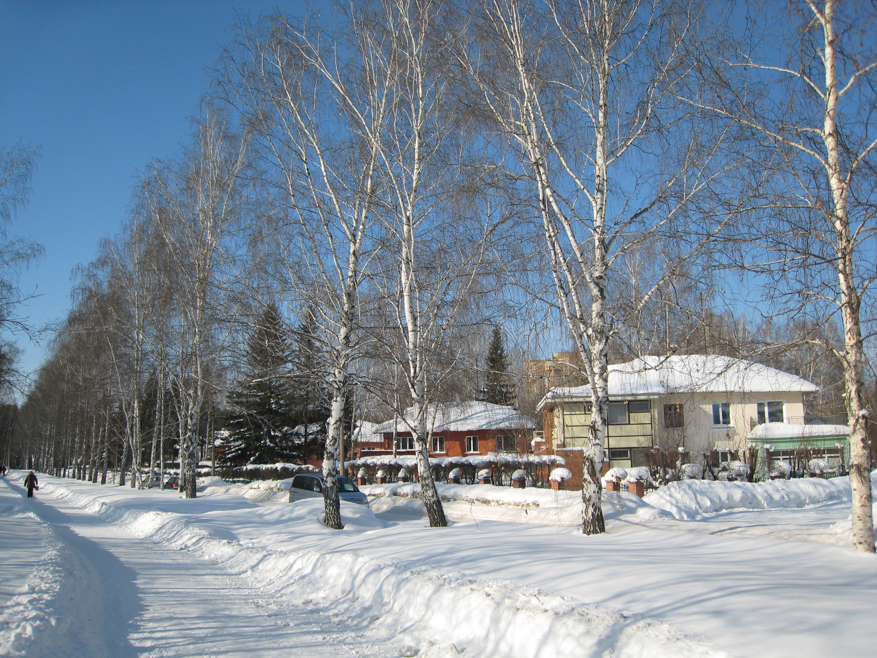 Cottages on Tereshkovoj str.
