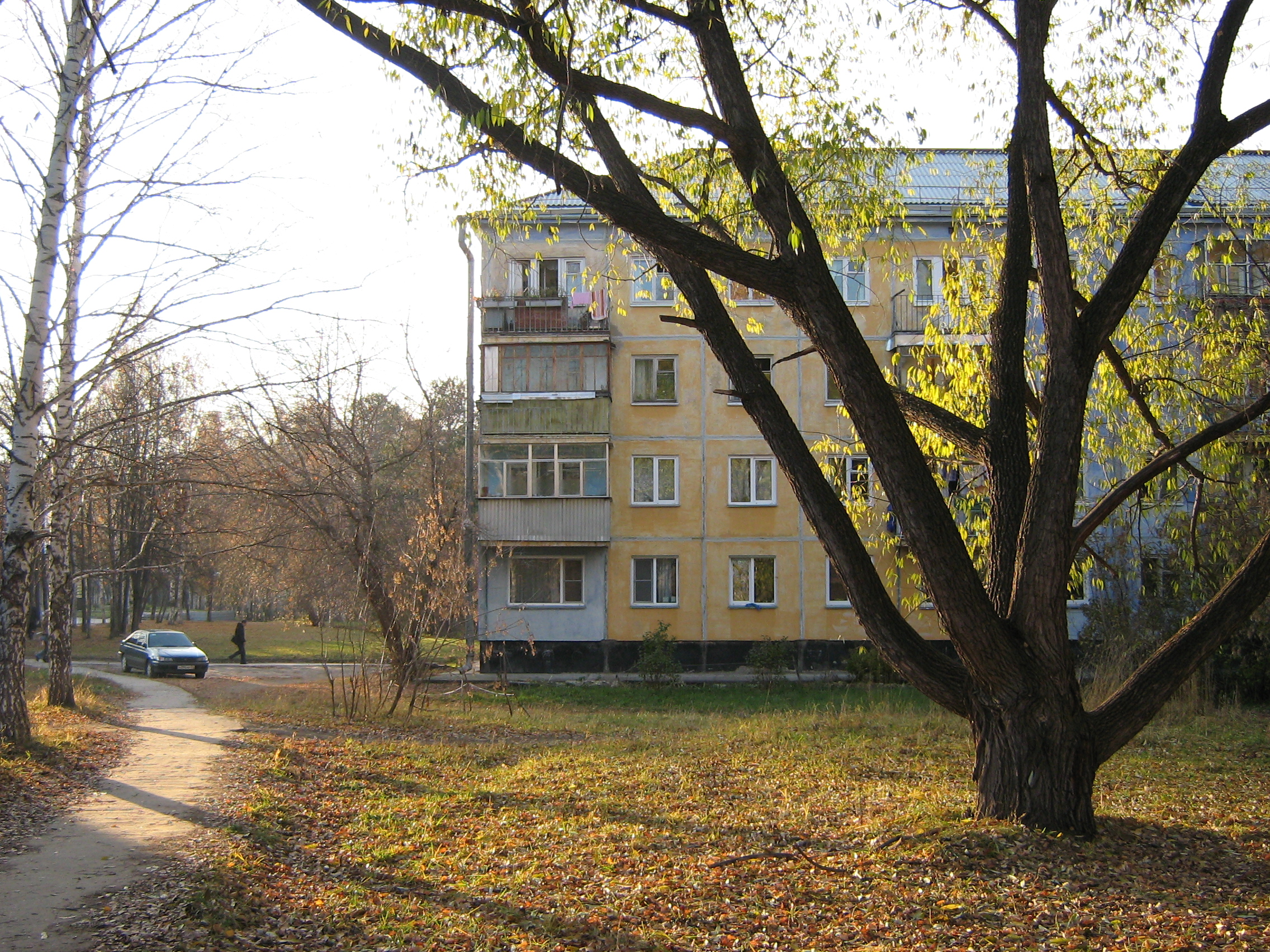 Autumn in Akademgorodok