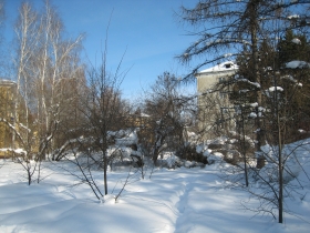 Path in the snow