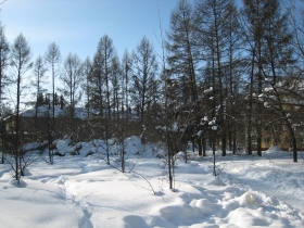 Kindergarten in the snow