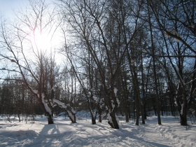 Frost and sun