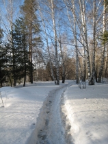 Snowbreak begins