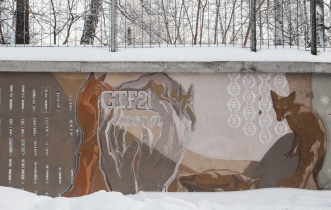 Akademgorodok in Winter