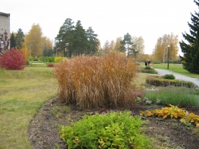 Autumn in Akademgorodok