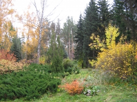 Autumn in Akademgorodok