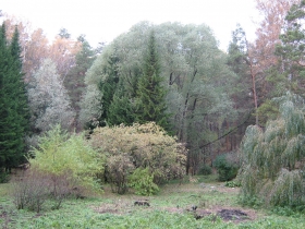 Autumn in Akademgorodok