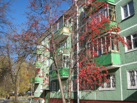 Autumn in Akademgorodok