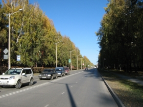 Autumn in Akademgorodok. Morskoj prospekt