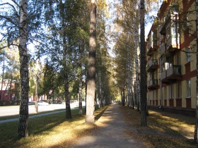 Autumn in Akademgorodok